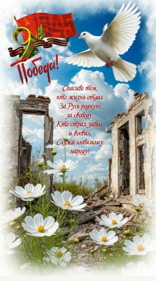 Картинка к новости